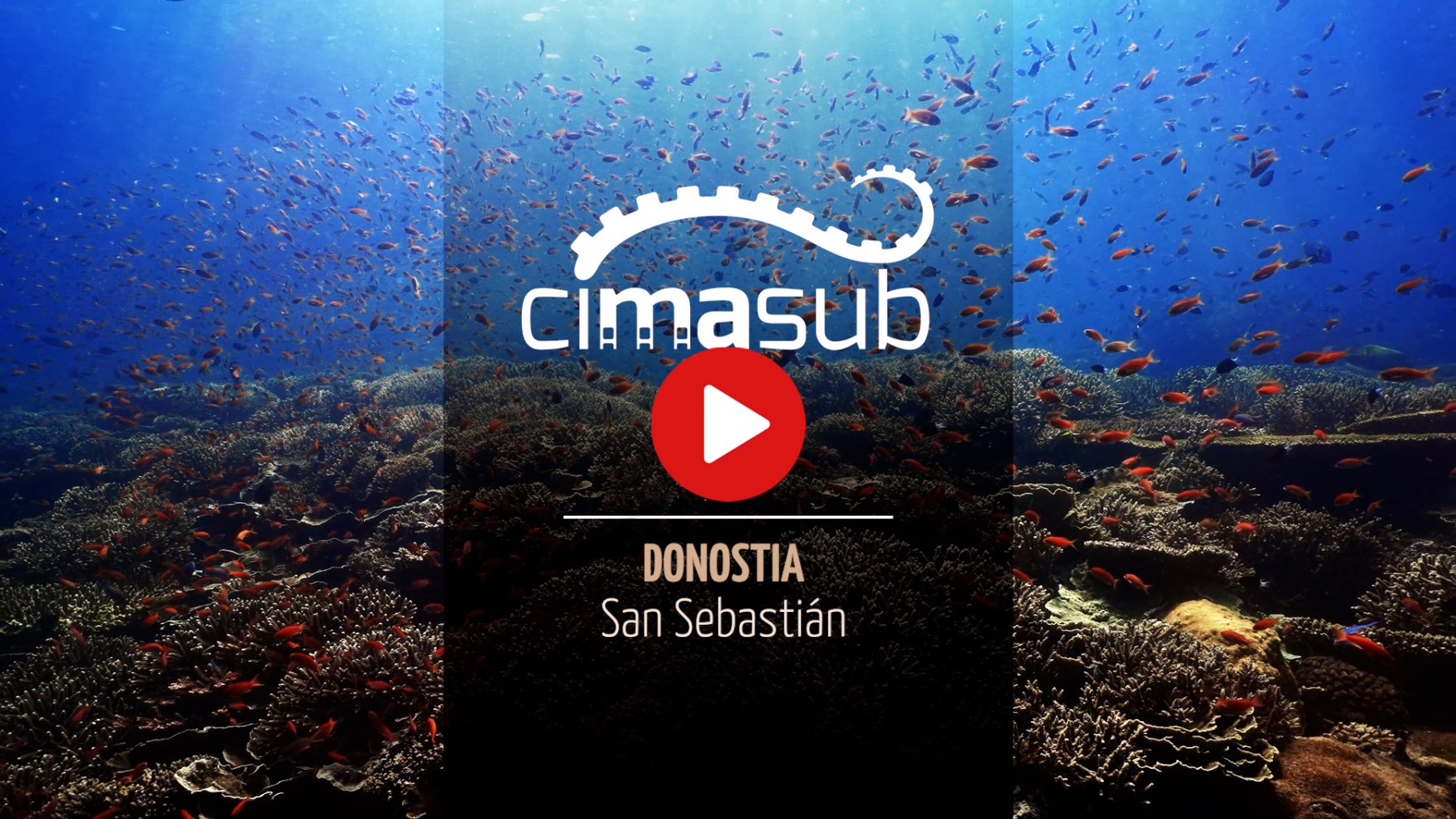 CIMASUB 2023. La fiesta visual submarina de Donostia ya está aquí. Presentación del trailer oficial.