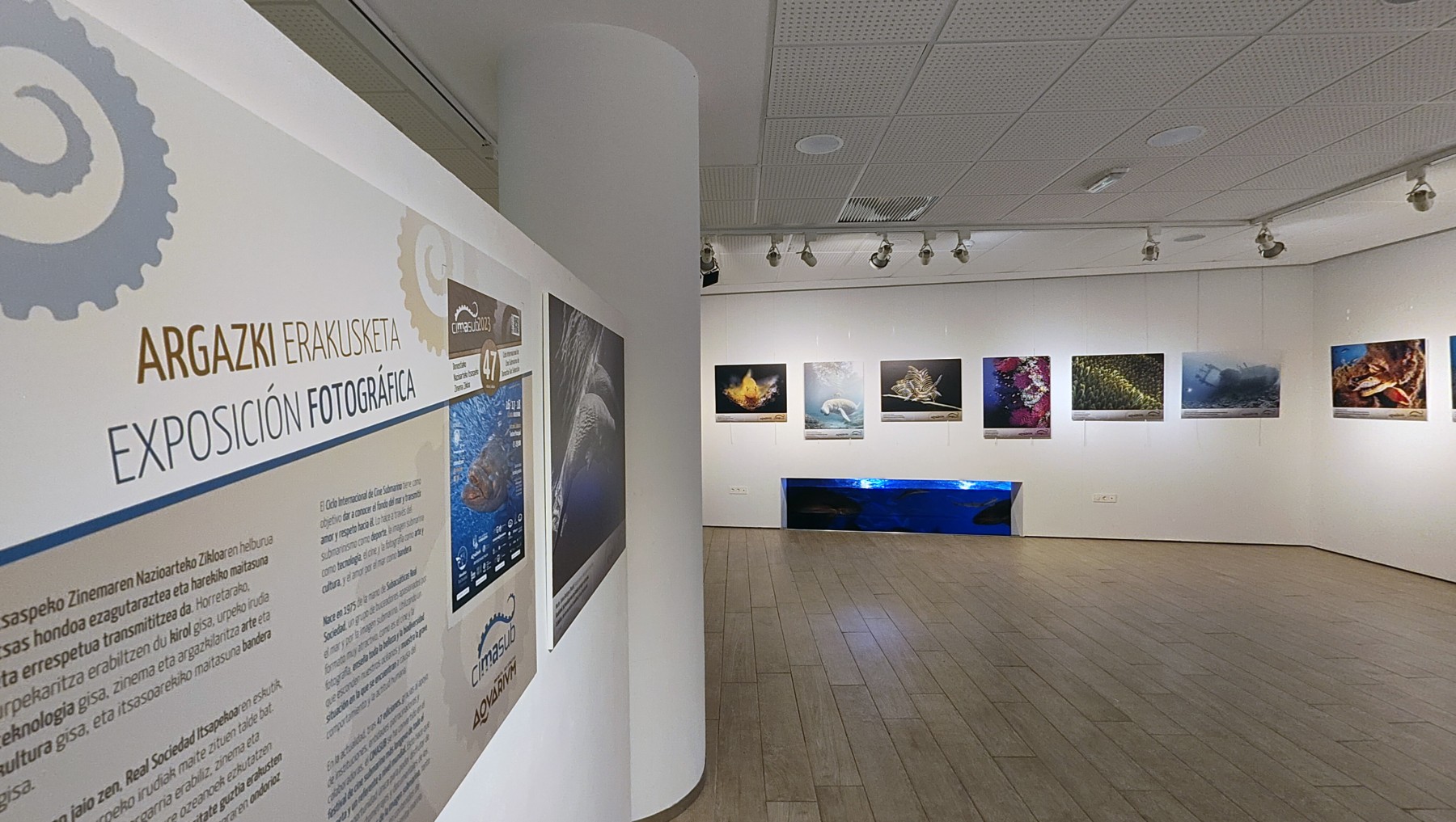 Tres impactantes exposiciones fotográficas submarinas abren sus puertas en San Sebastián