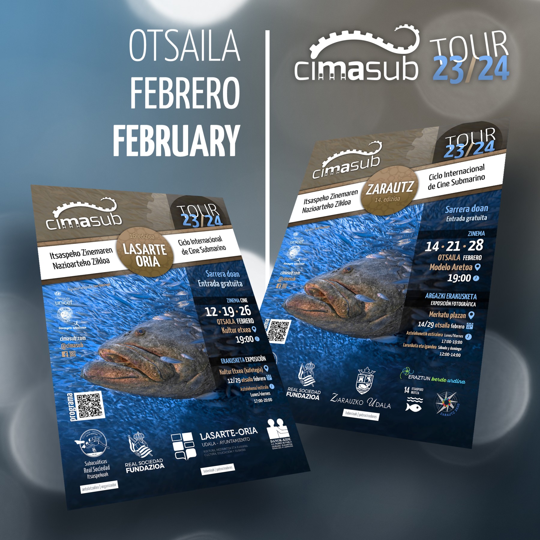 In February CIMASUB immerses Lasarte-Oria and Zarautz in an underwater show