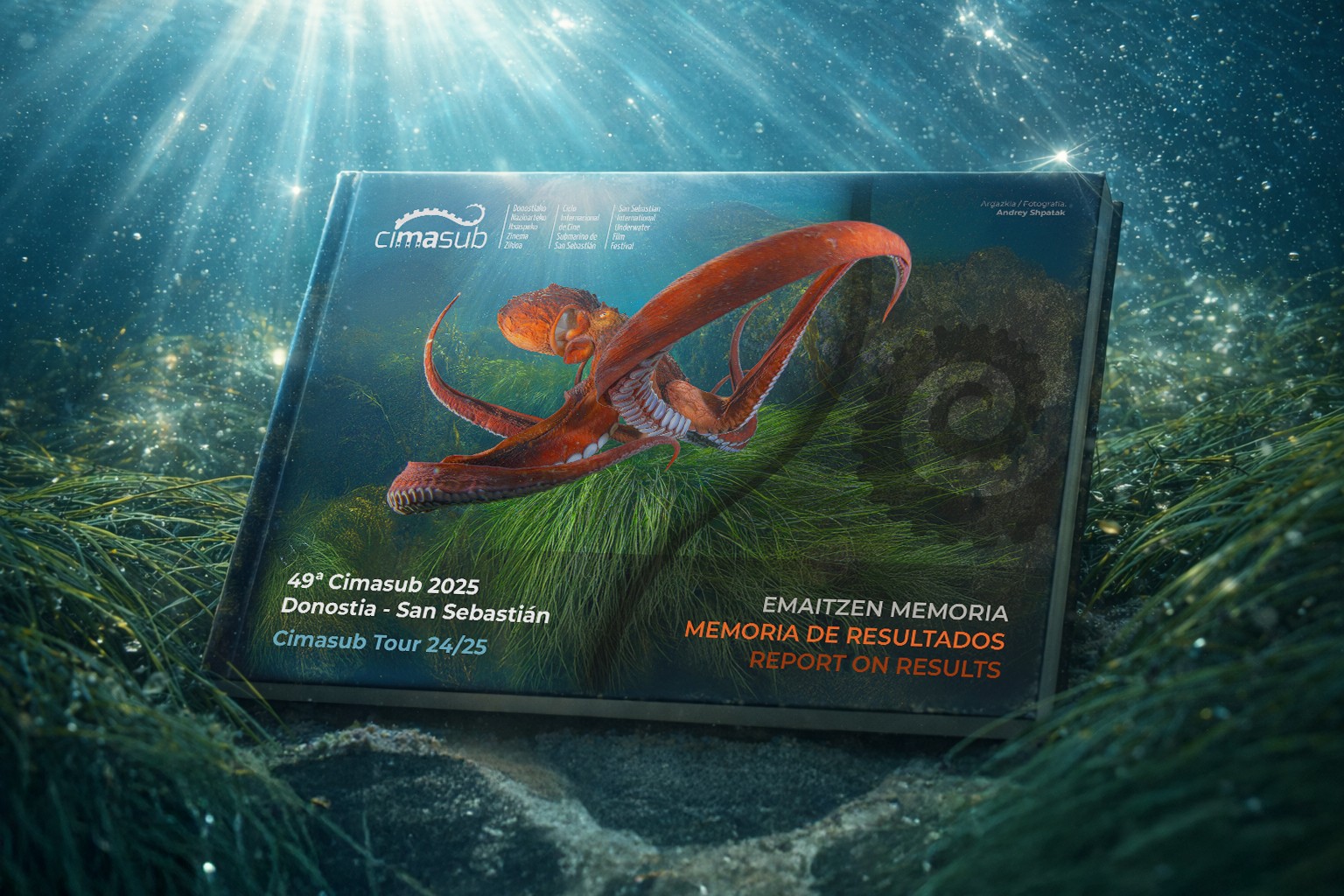 From the achievements of 2025 to an unforgettable 2026: Towards the 50th anniversary